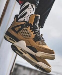 Air Jordan 4 Retro 'Mushroom' AQ9129-200