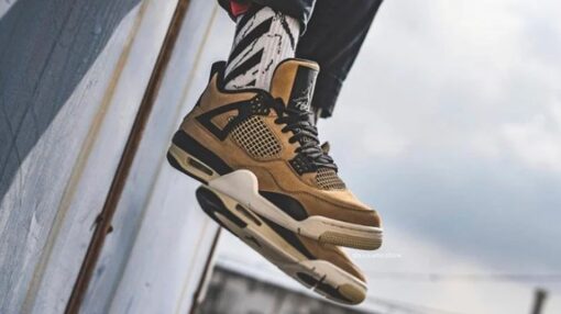 Air Jordan 4 Retro 'Mushroom' AQ9129-200