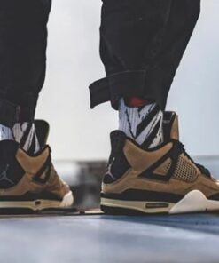 Air Jordan 4 Retro 'Mushroom' AQ9129-200