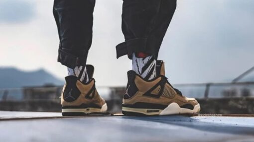 Air Jordan 4 Retro 'Mushroom' AQ9129-200