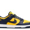 Giày Nike Dunk Low 'Michigan' 2021 - CW1590-700