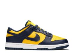 Giày Nike Dunk Low 'Michigan' 2021 - CW1590-700