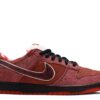 Nike Dunk Low Concepts Red Lobster - 313170-661