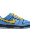 Nike Dunk Low Pro SB QS 'Bubbles' - FZ8833-400