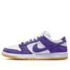 Nike SB Dunk Low Low Pro ISO 'Orange Label Court Purple' DV5464-500