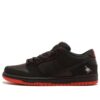 Nike Dunk Low Pro Sb Black Pigeon X Jeff Staple 883232-008