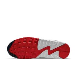 Nike Air Max 90 'Grey USA' CZ1846-001