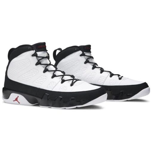 Air Jordan 9 Retro '2010 Release' 302370-102