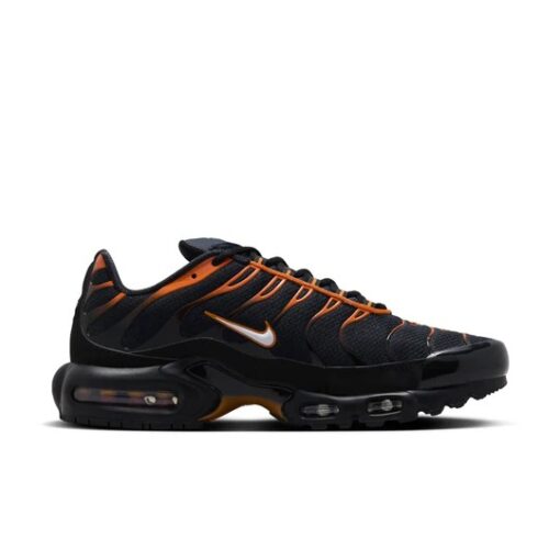 Nike Air Max Plus 'Dark Obsidian Monarch' FN6949-400