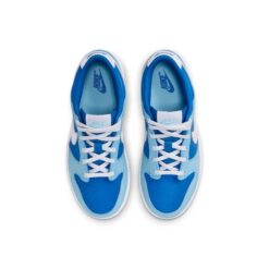 (PS) Nike Dunk Low Retro QS 'Argon' 2022 DV2635-400