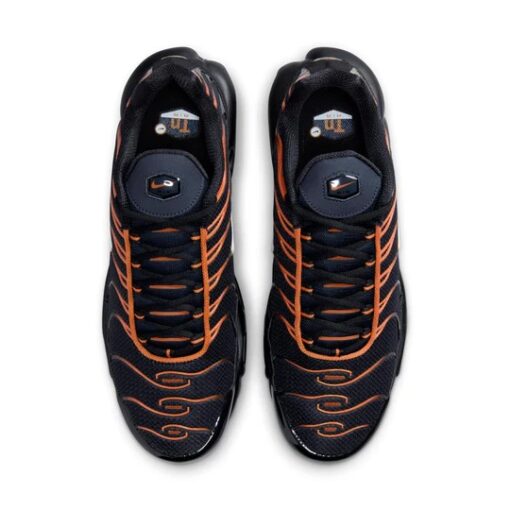 Nike Air Max Plus 'Dark Obsidian Monarch' FN6949-400