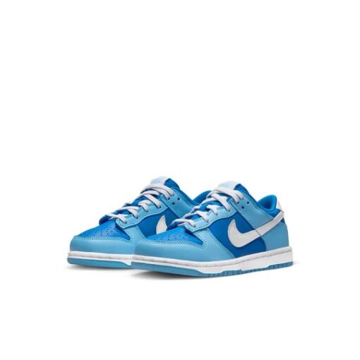 (PS) Nike Dunk Low Retro QS 'Argon' 2022 DV2635-400