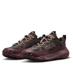 Nike ACG Mountain Fly 2 Low GTX 'Velvet Brown Burgundy' HF6245-200