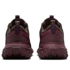 Nike ACG Mountain Fly 2 Low GTX 'Velvet Brown Burgundy' HF6245-200
