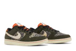 Dunk Low SE ‘Gone Fishing – Rainbow Trout’ FN7523-300
