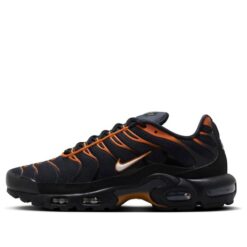 Nike Air Max Plus 'Dark Obsidian Monarch' FN6949-400