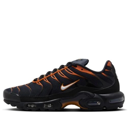 Nike Air Max Plus 'Dark Obsidian Monarch' FN6949-400