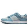 (GS) Nike Dunk Low 'Aura Clear' DH9765-401