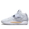 Nike KD 14 'Home' CW3935-100