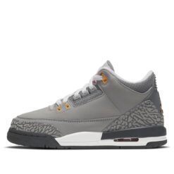 Jordan 3 Retro ‘Cool Grey (2021)’ 398614-012