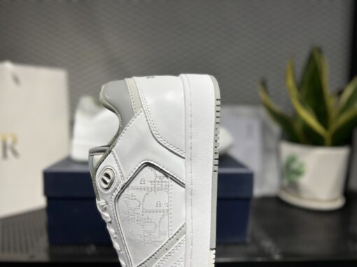 Dior B27 Low White Gray