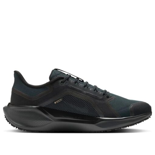Nike Air Zoom Pegasus 41 Gore-Tex 'Black Anthracite' FQ1356-001