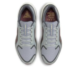 Nike Air Zoom Pegasus 41 Gore-Tex 'Light Pumice Ashen Slate Burgundy' FQ1356-003
