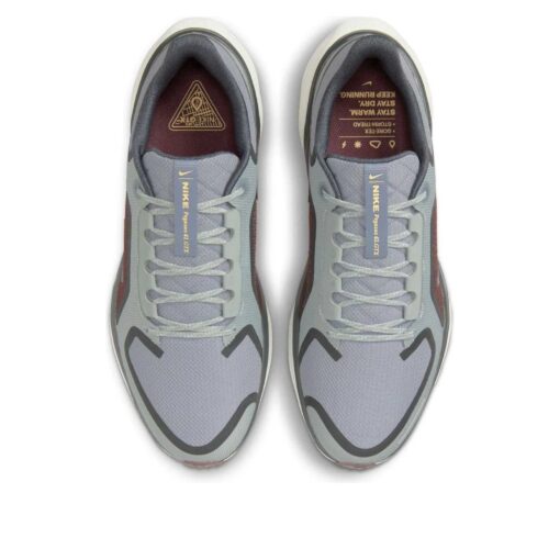 Nike Air Zoom Pegasus 41 Gore-Tex 'Light Pumice Ashen Slate Burgundy' FQ1356-003