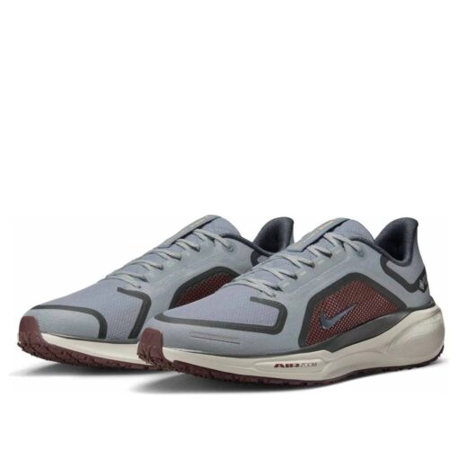 Nike Air Zoom Pegasus 41 Gore-Tex 'Light Pumice Ashen Slate Burgundy' FQ1356-003