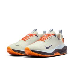 Nike ReactX Infinity Run 4 GTX Shoes 'Beige Sea Glass' FB2204-002