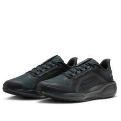 Nike Air Zoom Pegasus 41 Gore-Tex 'Black Anthracite' FQ1356-001