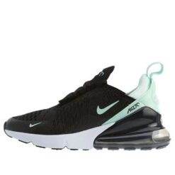 (WMNS) Nike Air Max 270 'Igloo' AH6789-008