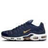 Nike Air Max Plus 'French Football Federation' FB3350-400