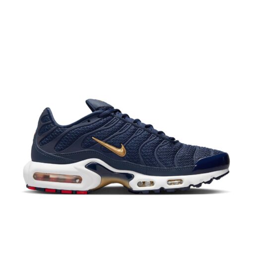 Nike Air Max Plus 'French Football Federation' FB3350-400