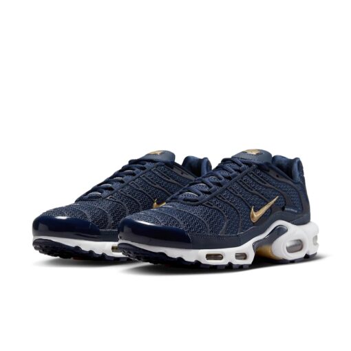 Nike Air Max Plus 'French Football Federation' FB3350-400
