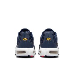 Nike Air Max Plus 'French Football Federation' FB3350-400
