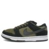 Nike SB Dunk Low Pro 'Loden' 304292-301