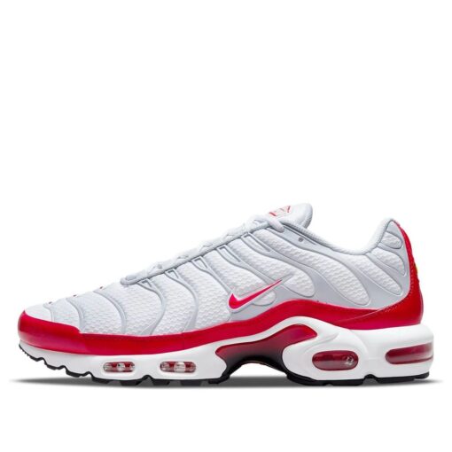 Nike Air Max Plus 'Air Max 1' DM8332-100