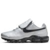 Nike Air Max Plus TNPO 'Wolf Grey' HM6850-001