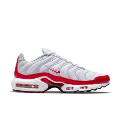 Nike Air Max Plus 'Air Max 1' DM8332-100