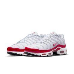 Nike Air Max Plus 'Air Max 1' DM8332-100