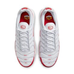 Nike Air Max Plus 'Air Max 1' DM8332-100