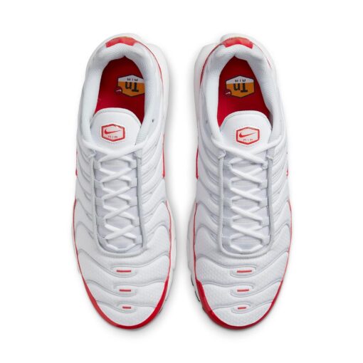 Nike Air Max Plus 'Air Max 1' DM8332-100