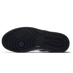 (WMNS) Air Jordan 1 Retro High OG 'Twist' CD0461-007